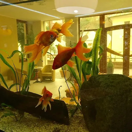 Grand Matej Ξενοδοχείο Banská Štiavnica