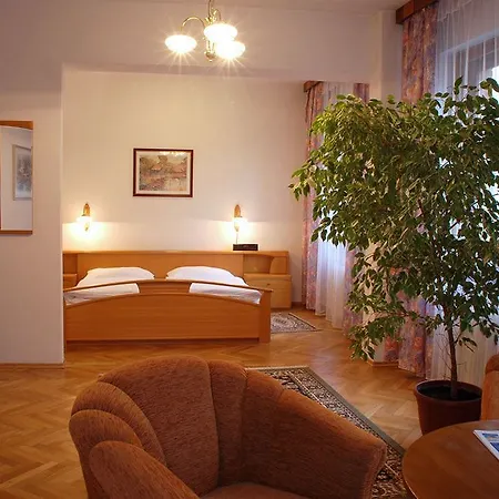 Hotel & Grand Matej 3*